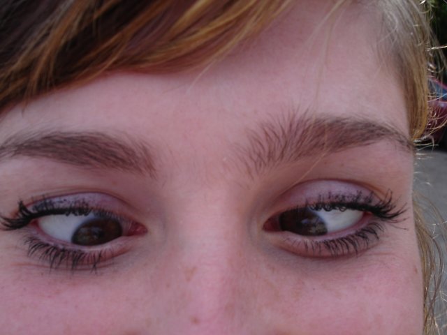 HWK 2009 126.jpg